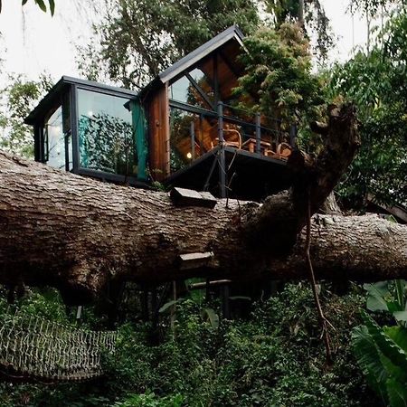 Wilderness Treehouse Villa Doi Saket Dış mekan fotoğraf